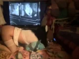 Amateur brunette lesbian porn stars on webcam